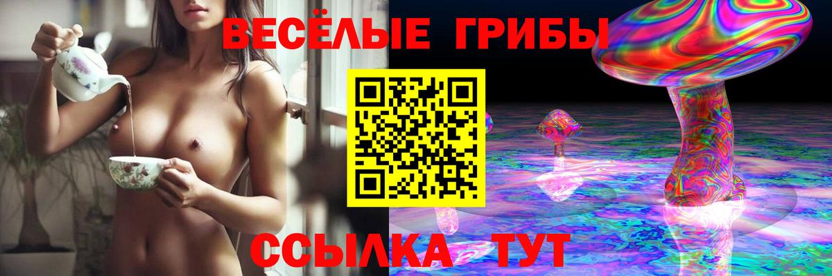 Псилоцибиновые грибы Psilocybine cubensis Карталы